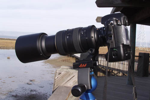 Nikon VR 80-400 Lens & TC-14A @Digital OutbackPhoto